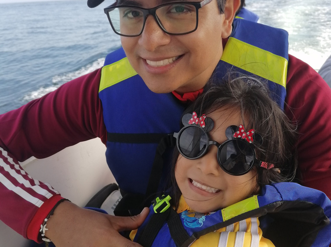 Tours El Pingüino-Organos必去景点