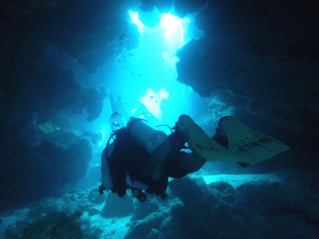 Blue Water Divers & Watersports-Sandys Parish必去景点