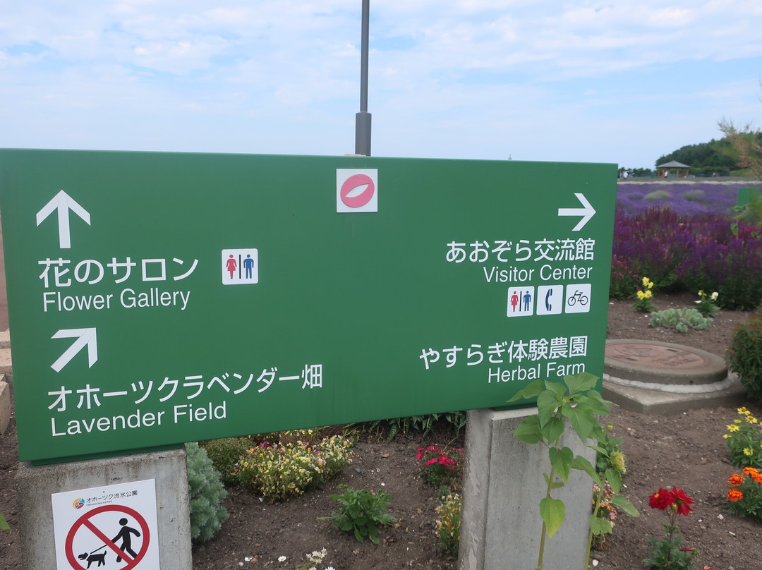 鄂霍次克流冰公园-纹别市必去景点