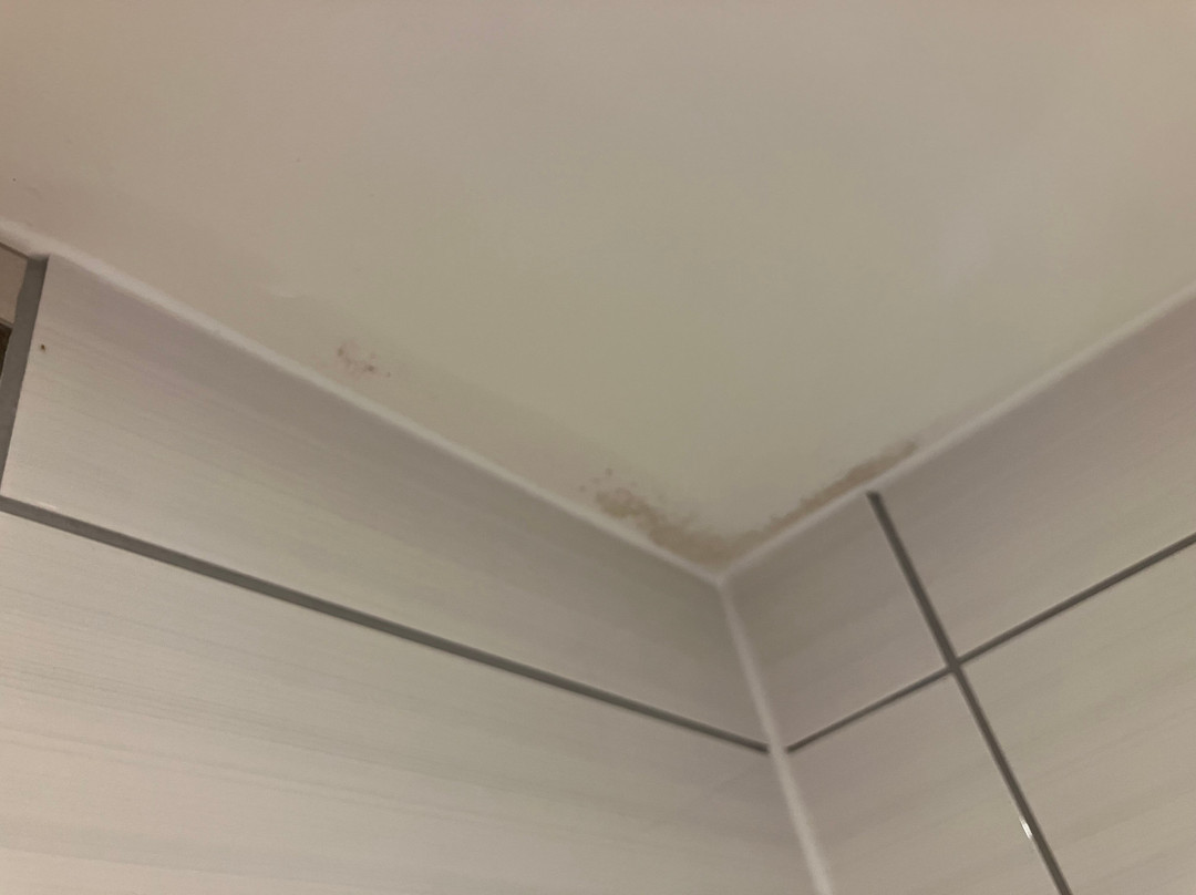 普瑞米尔哈利法克斯酒店主图