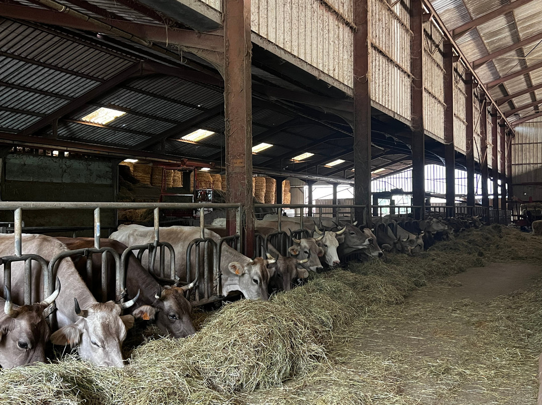 La Ferme De Dilhac-Lacroix-Barrez必去景点