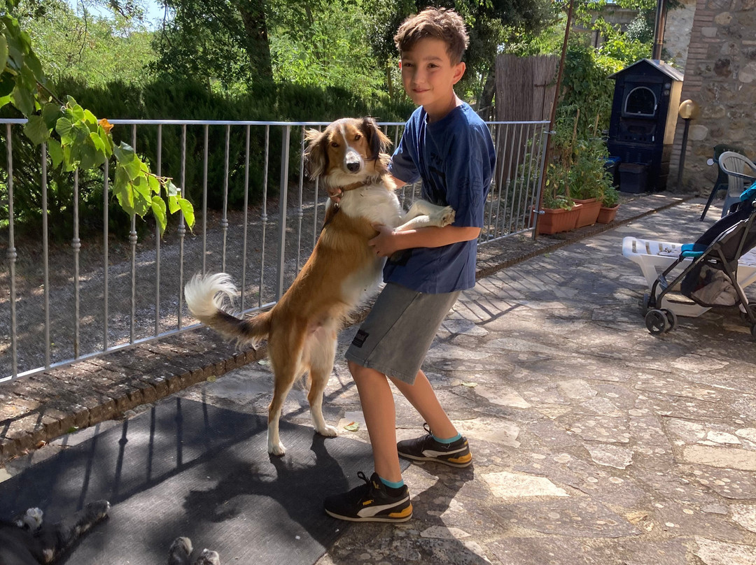 Agriturismo Selvella主图