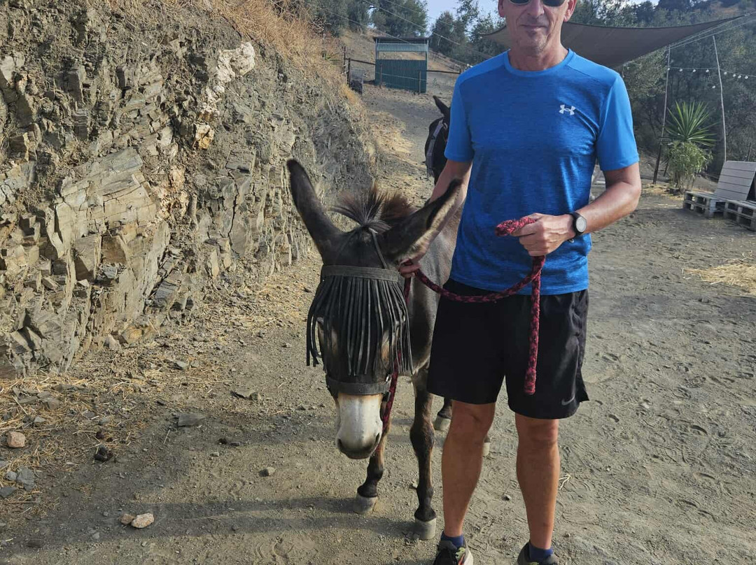 Donkey Dreamland-卡拉德米哈斯必去景点