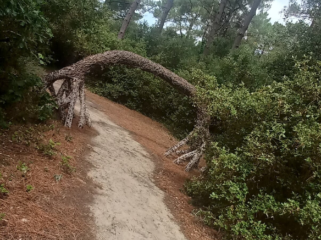 Bourrine du Bois Juquaud-Saint-Hilaire-de-Riez必去景点