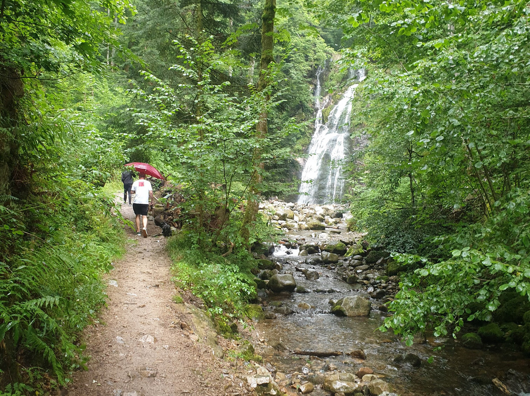 Cascade du Heidenbad-Wildenstein必去景点