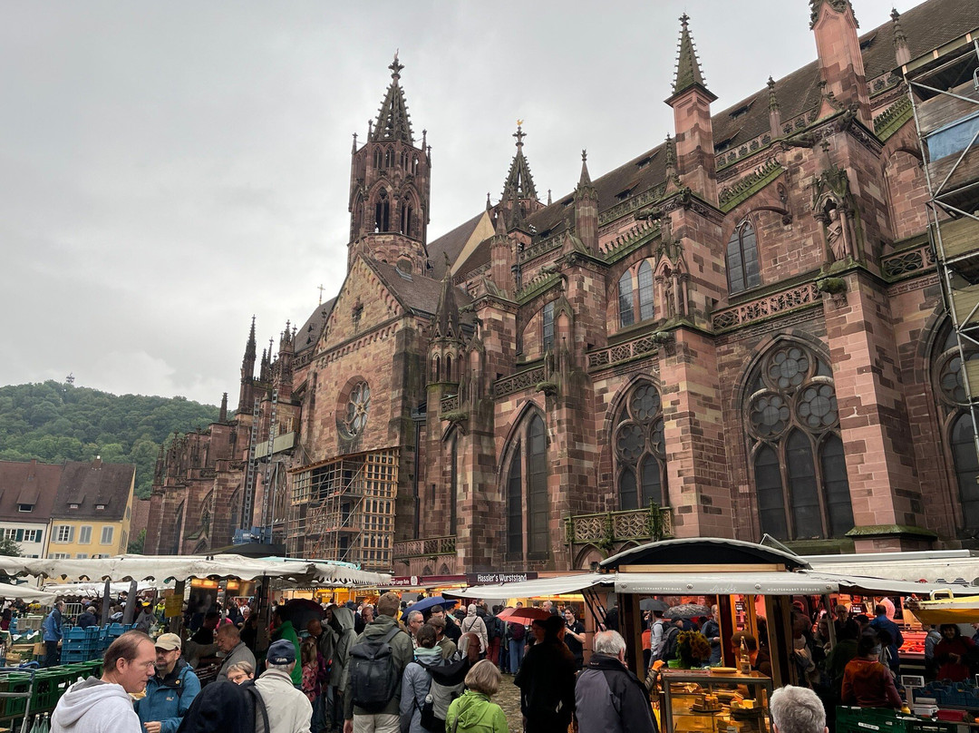 Freiburger Muenstermarkt-佛莱堡必去景点