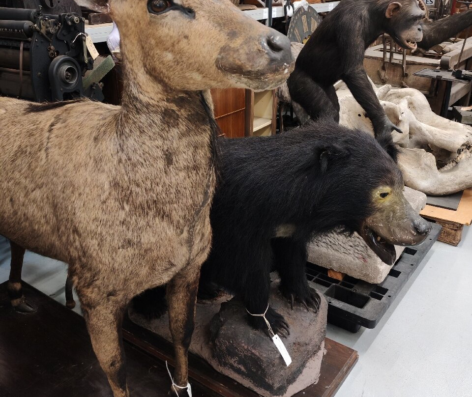 Leeds Discovery Centre-利兹必去景点