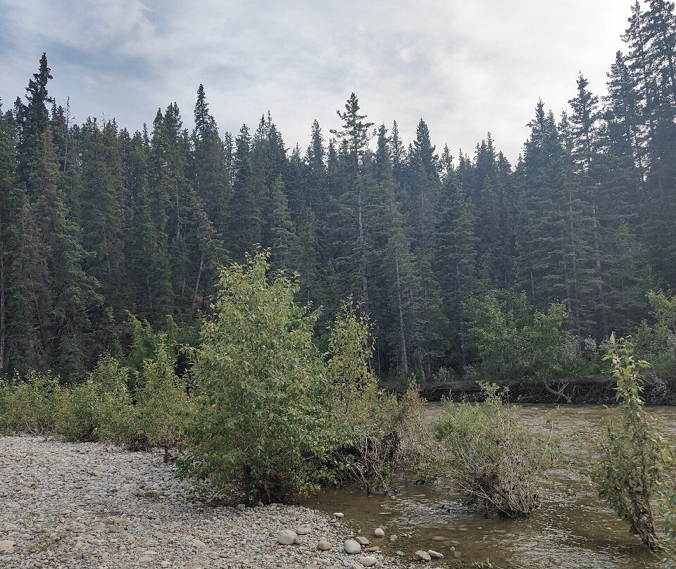 省立鱼溪公园-卡尔加里必去景点