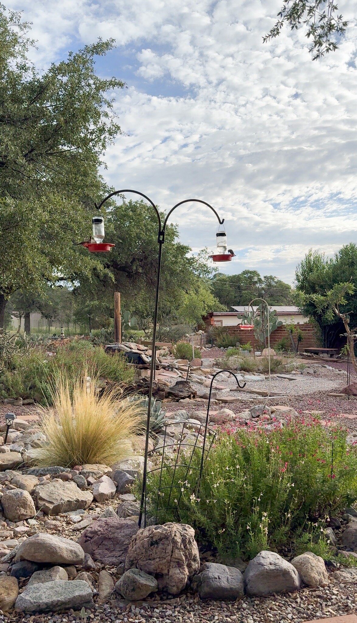 Battiste's Bed, Breakfast & Birds-官方