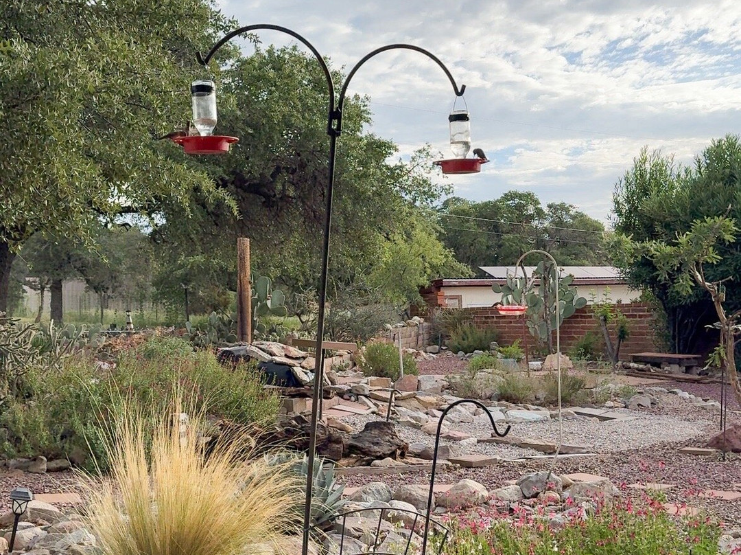 Battiste's Bed, Breakfast & Birds主图