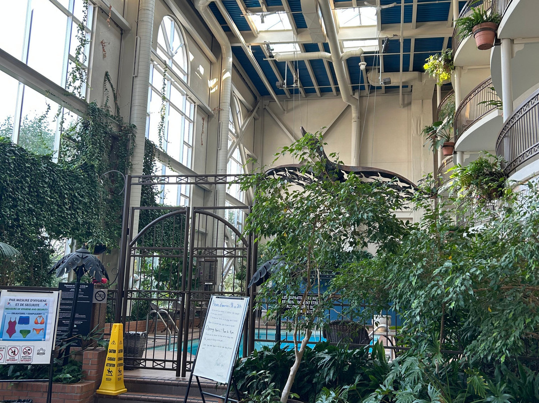 Hôtel L'oie Des Neiges主图