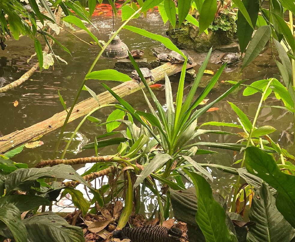 Amazon World Zoo Park-桑当必去景点