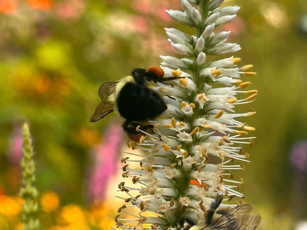 The Garden Door-斯特金贝必去景点
