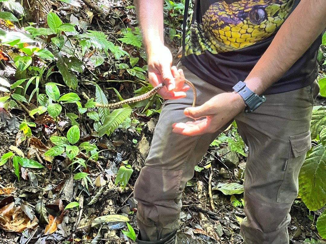 Nature Escapes-Bahia Drake必去景点