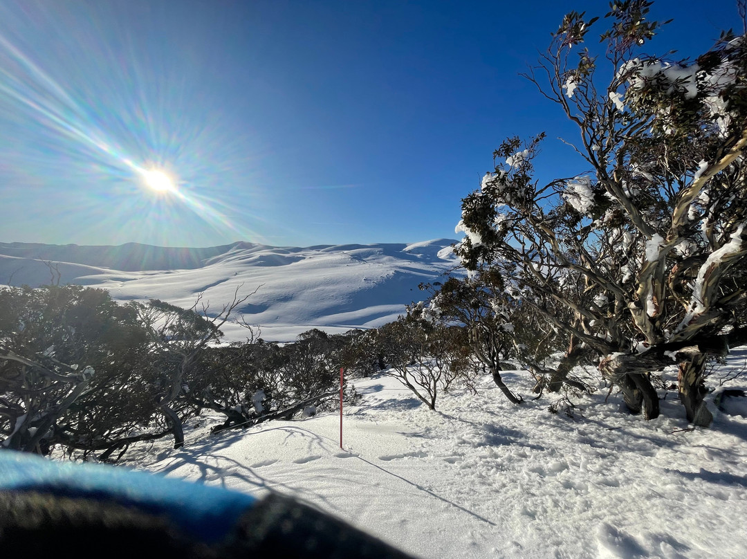 Stillwell Hotel主图