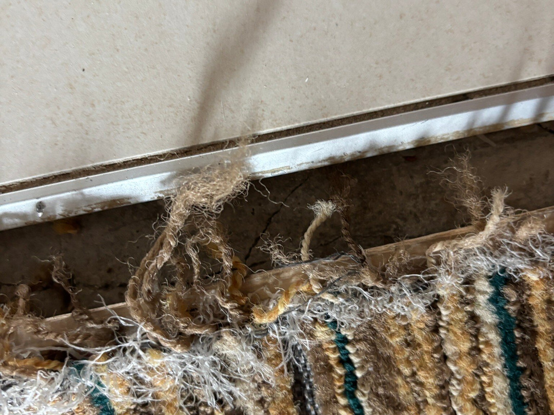 MainStay Suites Appleton Airport - Fox River Mall Area主图