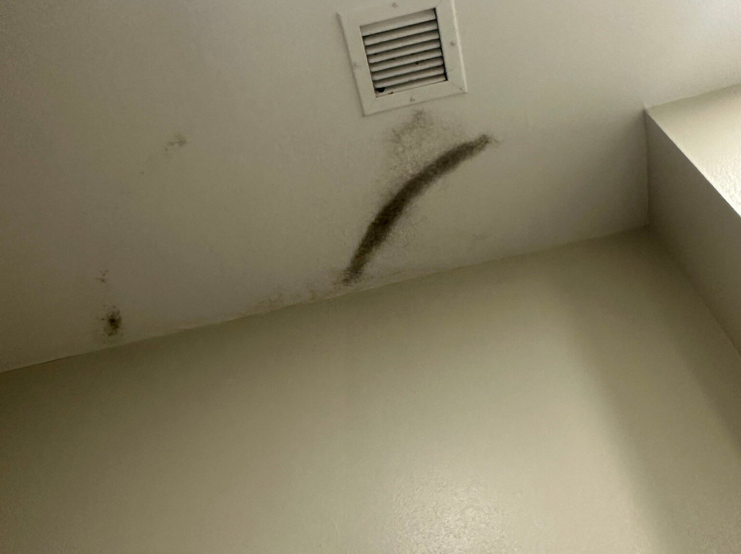 Holiday Inn Express & Suites Ardmore By IHG主图