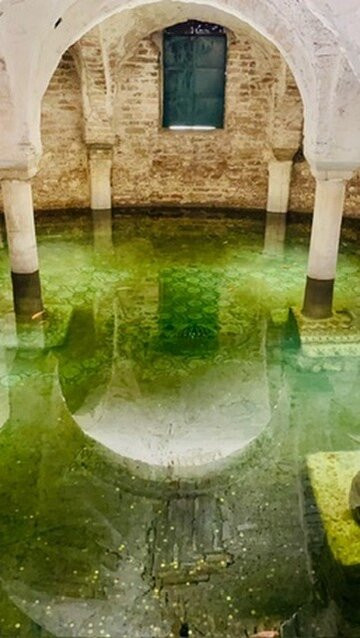 NATHALIE ZAVERONI: Guide in Bologna-博洛尼亚必去景点