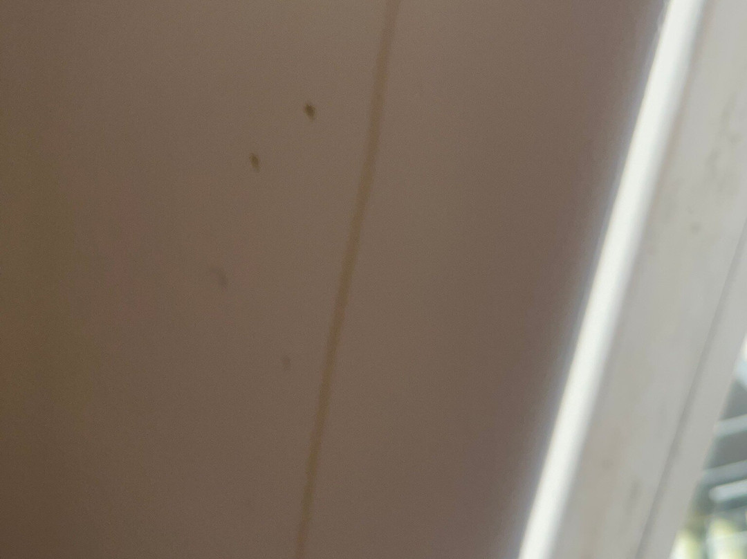 Mount Errigal Hotel主图