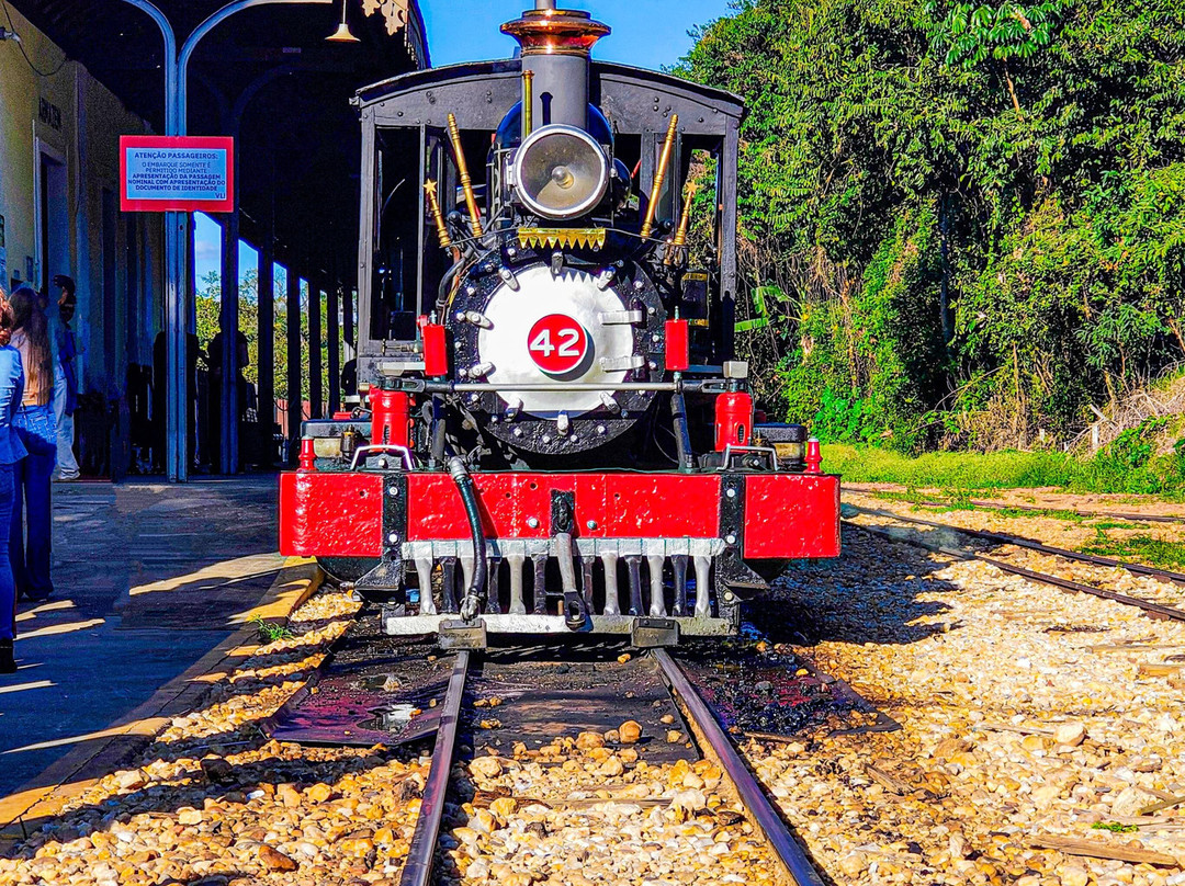 Smoking Mary Minas' Vintage Steam Trains-蒂拉登特斯必去景点