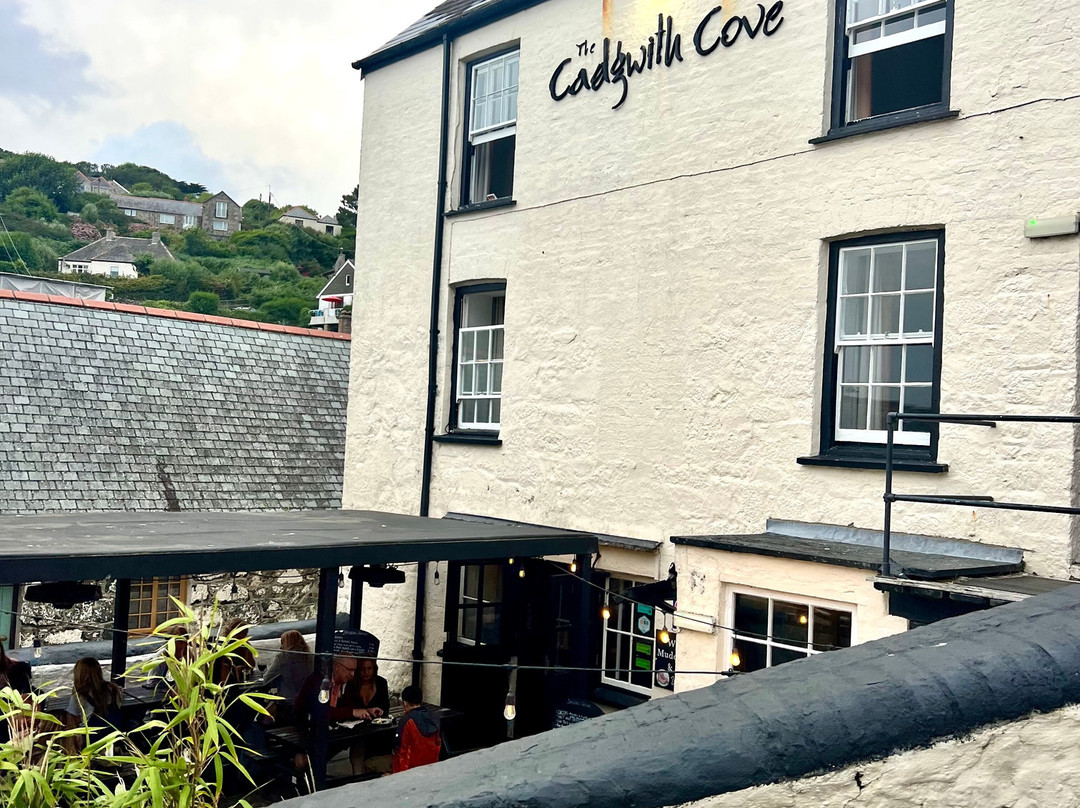 Cadgwith Cove Inn主图