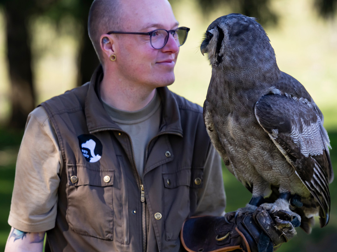Birdnerd