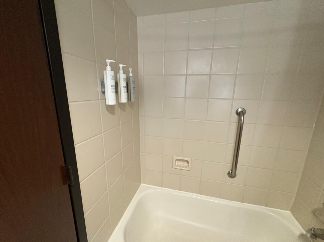 Embassy Suites by Hilton Dulles Airport主图