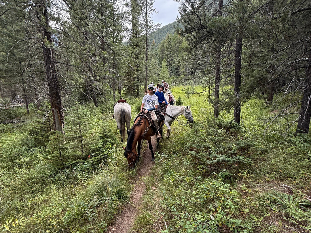 Snowy Springs Outfitters-Essex必去景点