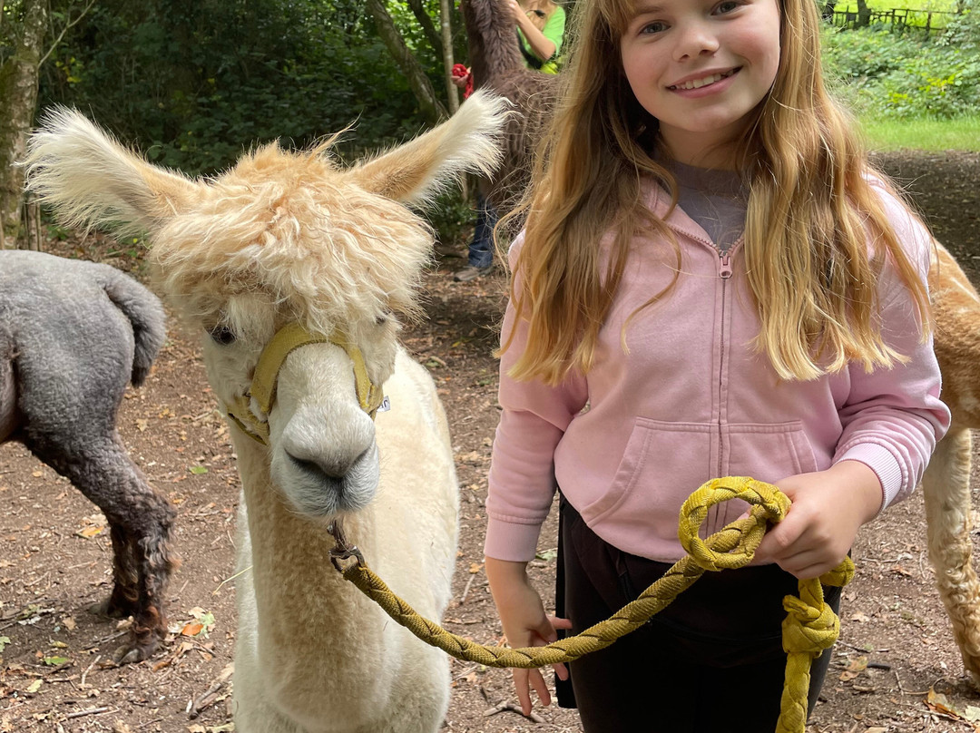 Woolley Animals Farm Park-Winkleigh必去景点