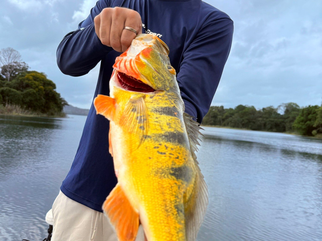 Gatun Sport Fishing Lodge-巴拿马城必去景点
