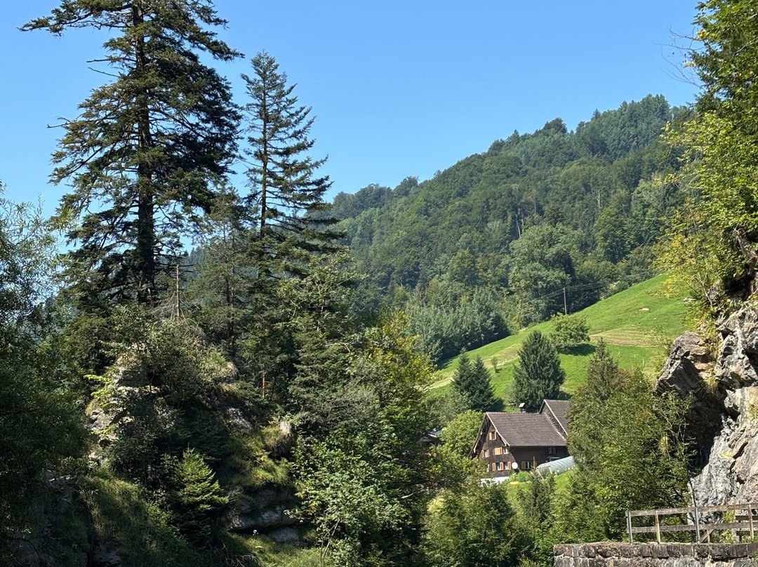 Rappenlochschlucht-多恩比恩必去景点