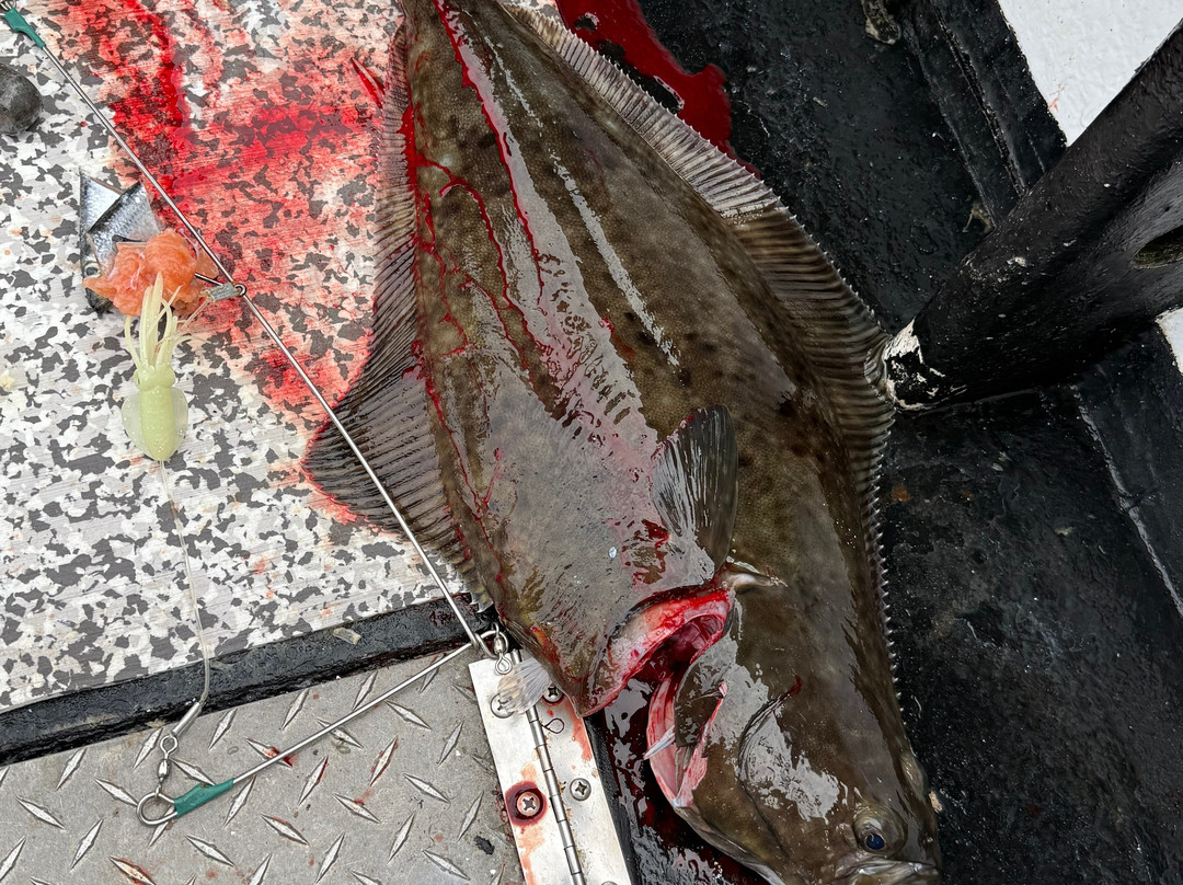 GO FISH Charters Ketchikan-凯奇坎必去景点