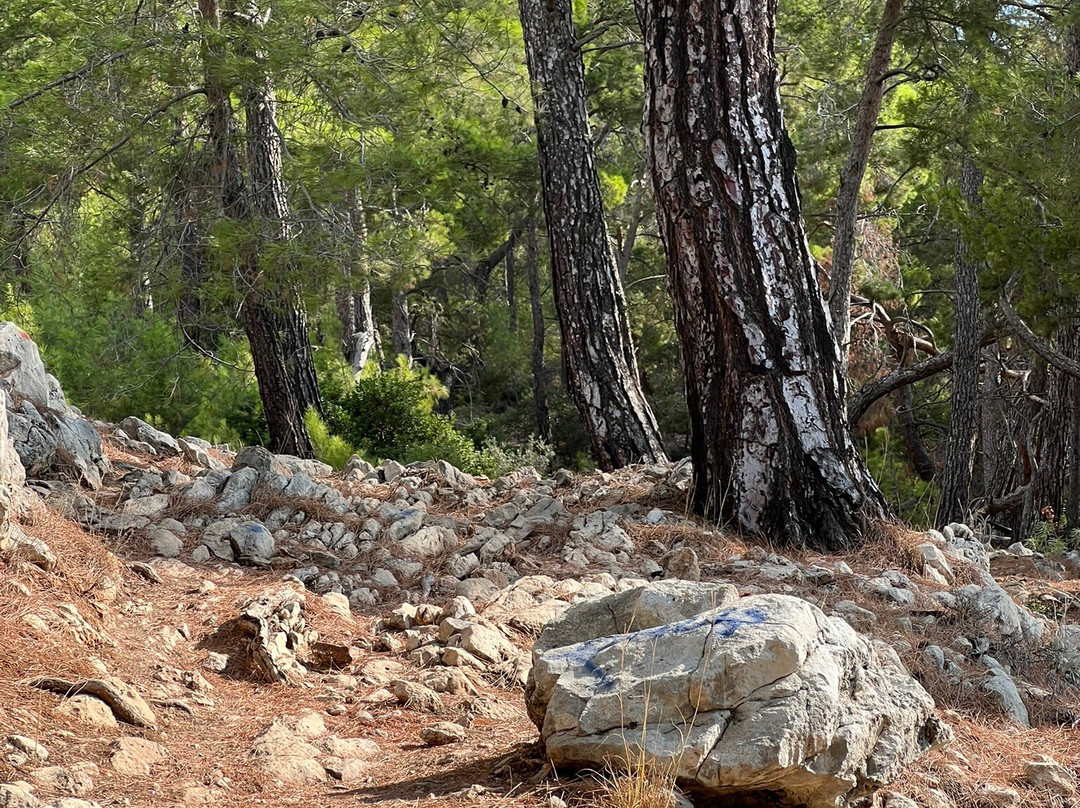 Çaliş Tepesi-凯梅尔必去景点