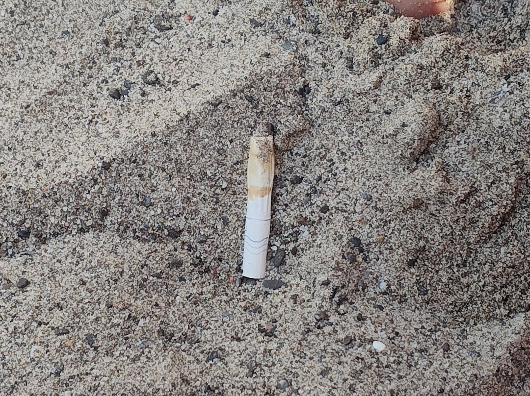 Ciclope Beach-Marina di Camerota必去景点