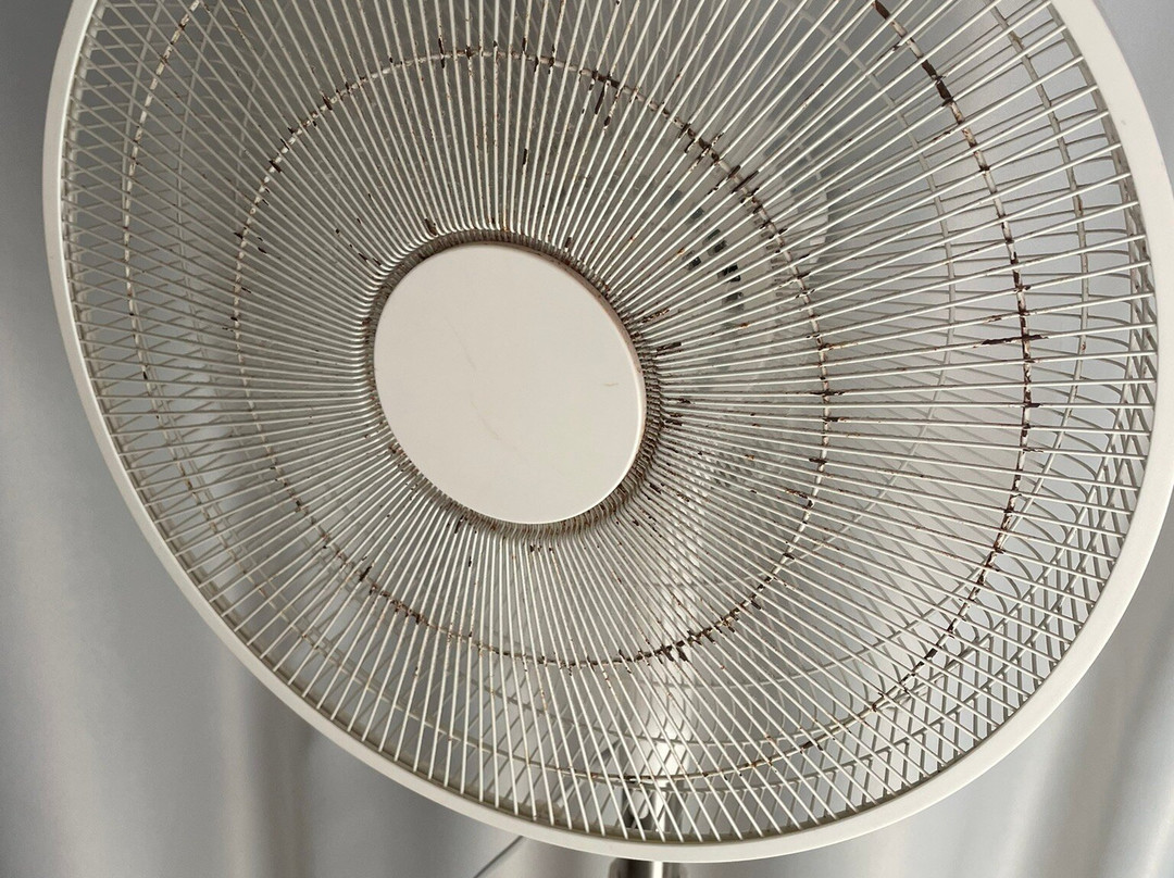 Le Pavillon Bleu Cap Ferret主图