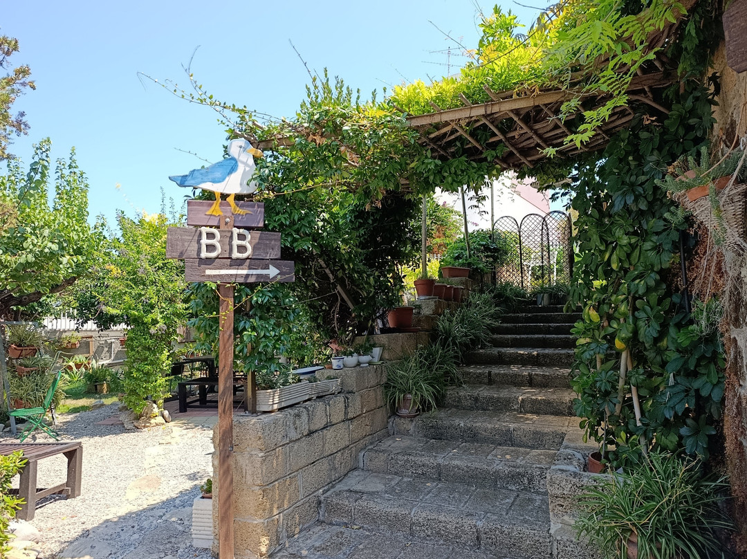 B&B Magna Grecia主图