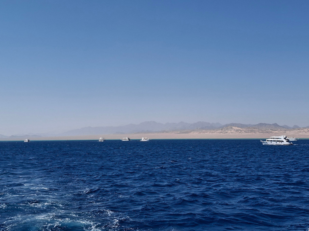 Intravel Tour-沙姆沙伊赫必去景点