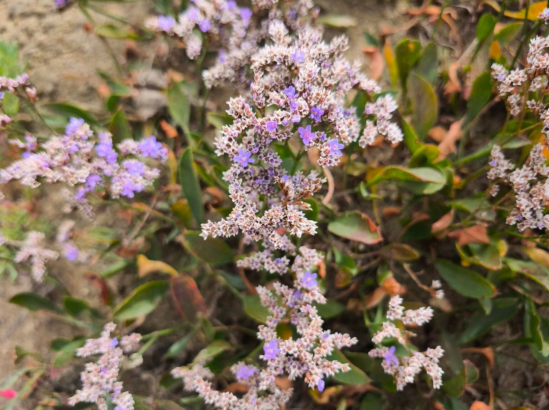 Sillon de Talbert-Pleubian必去景点