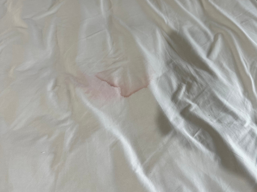 利文斯顿品质酒店主图