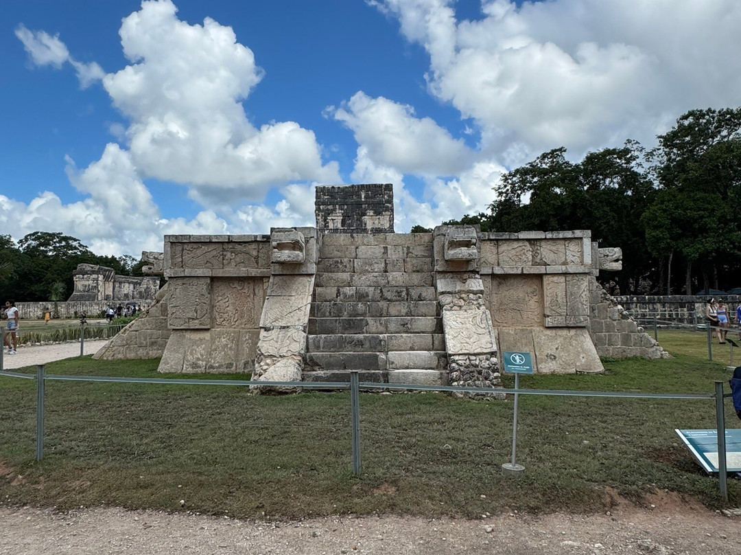 海洋观鲸鲨之旅-坎昆必去景点