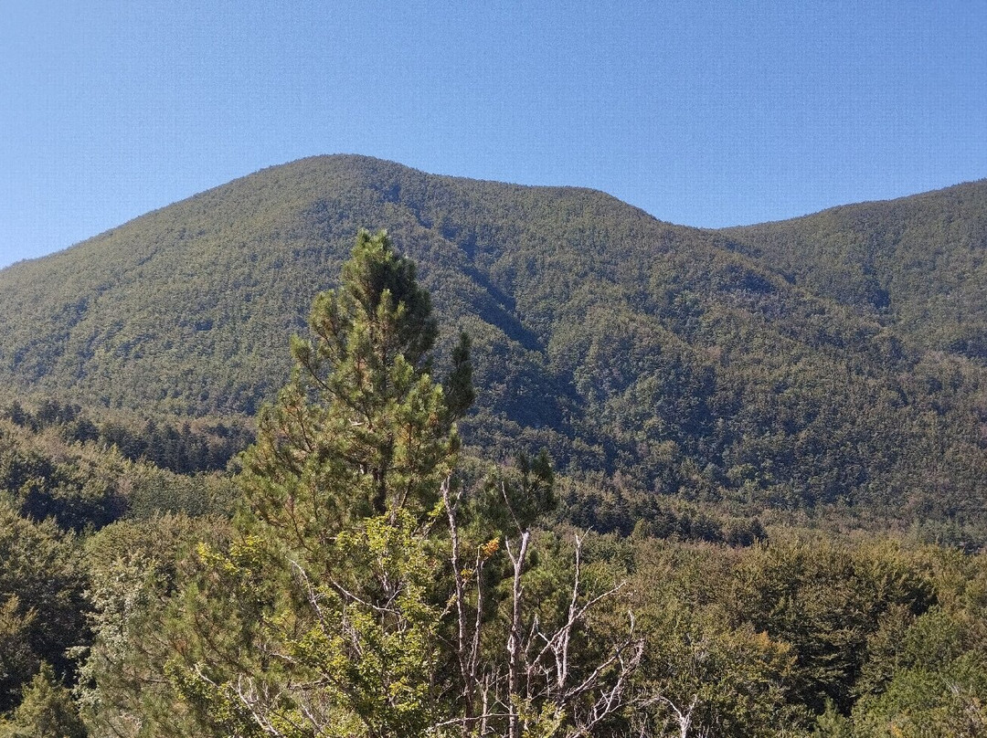 Sorgente dell'Arno-Stia必去景点