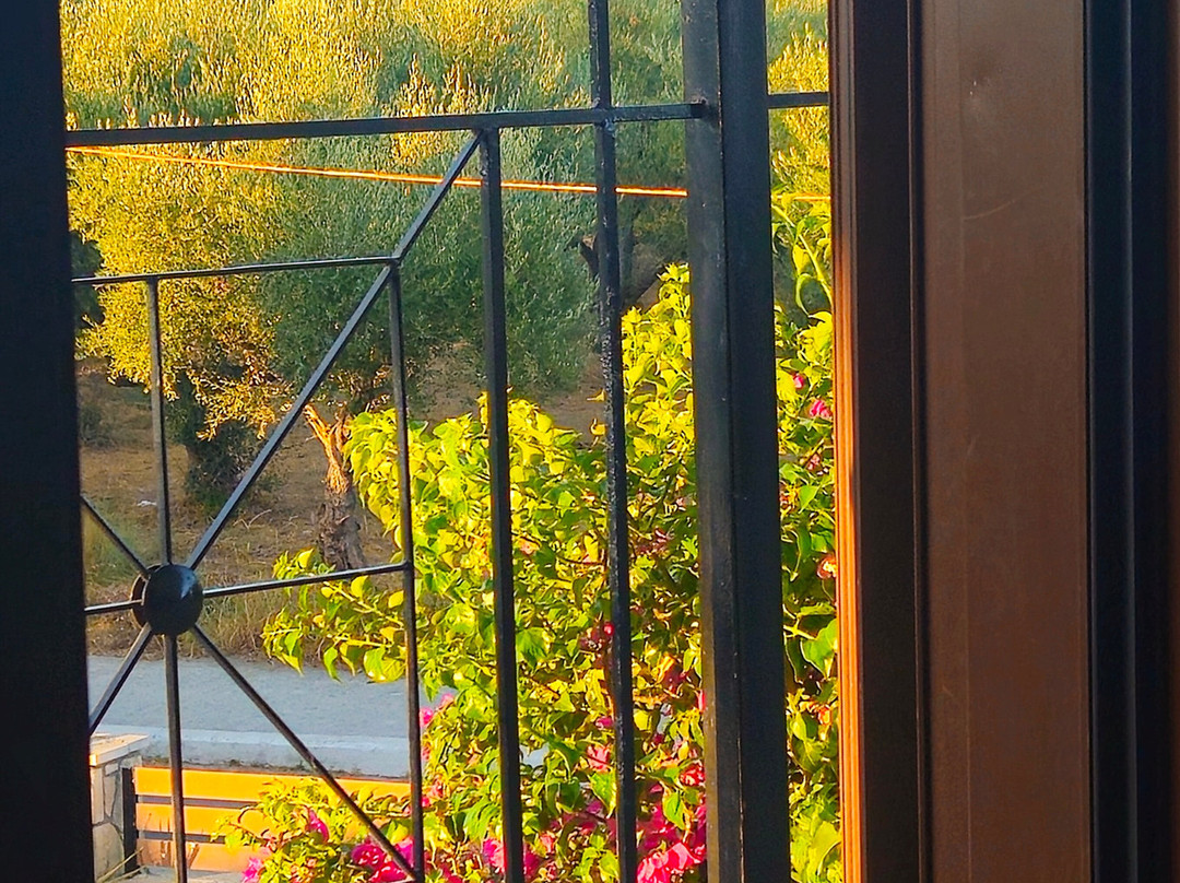 Barbara Ann Apartments主图