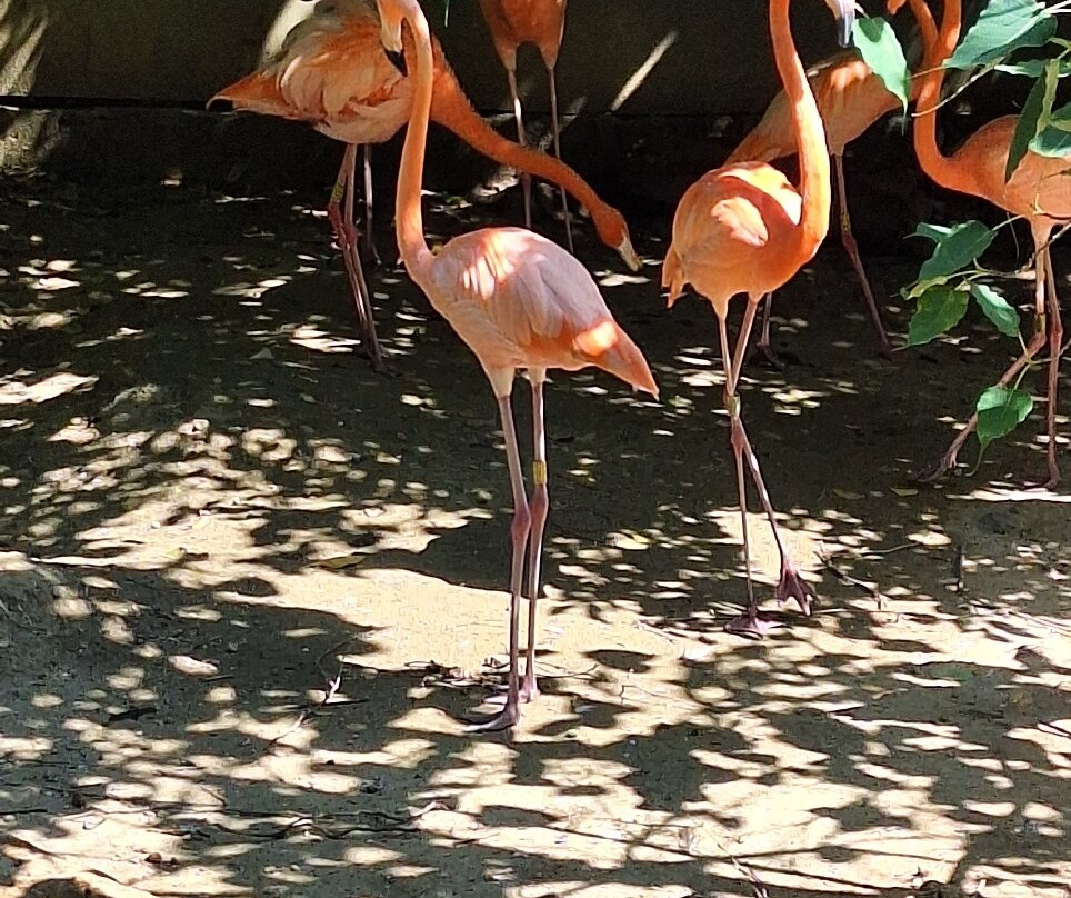 Zoológico De Barranquilla-Barranquilla必去景点