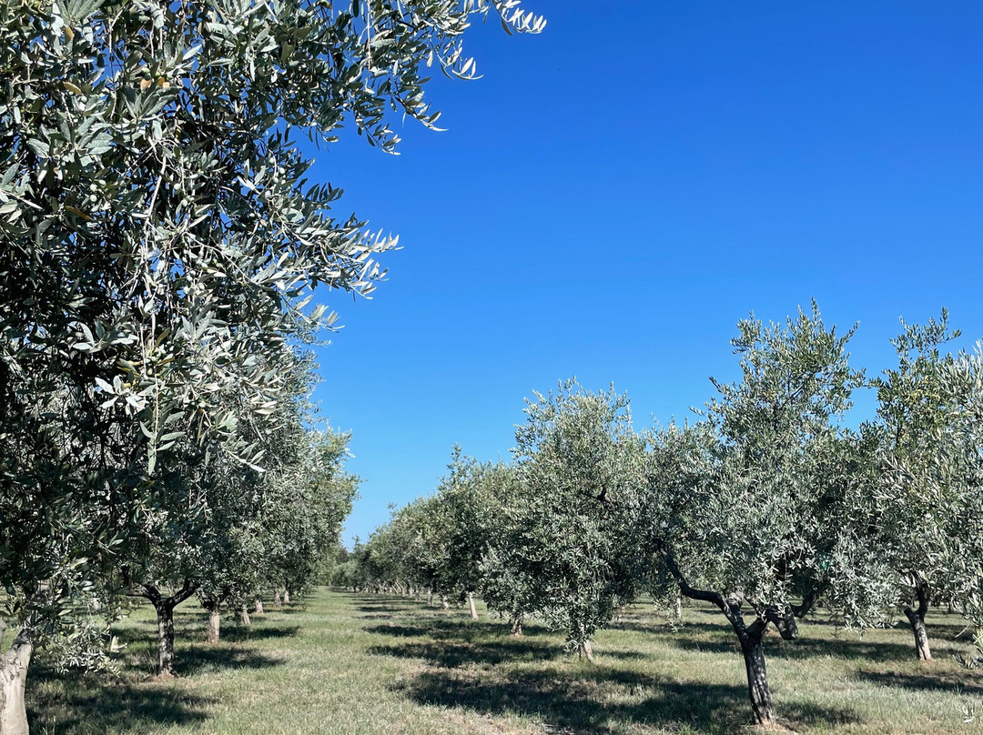 Farma Jola Poljoprivredni Obrt-萨乌德里亚必去景点