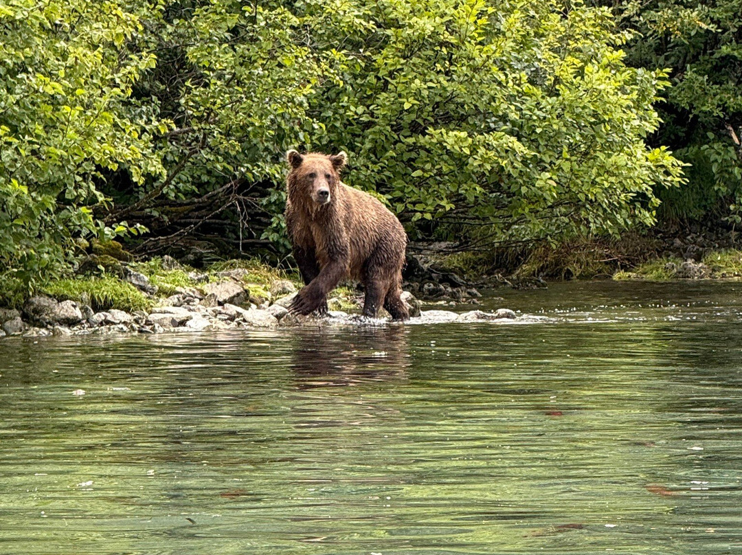 Talon Air Service-索尔多特纳必去景点