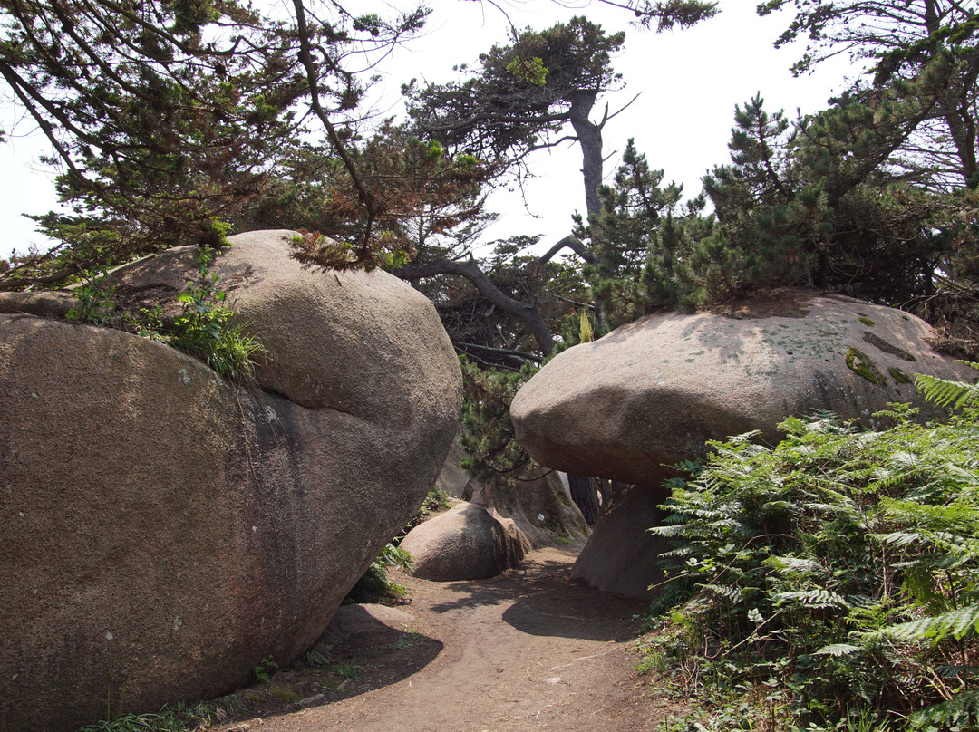 L’Île Renote-Tregastel必去景点