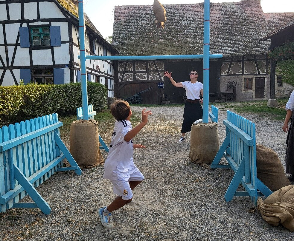 Ecomusée d'Alsace-温格斯汉必去景点