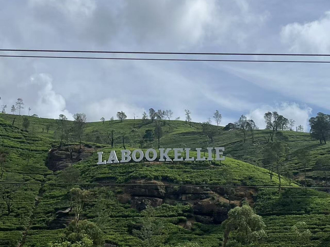 Happy Mango Tours-凯格勒 必去景点