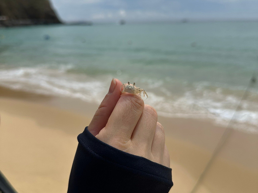 Ky Co Beach-归仁必去景点