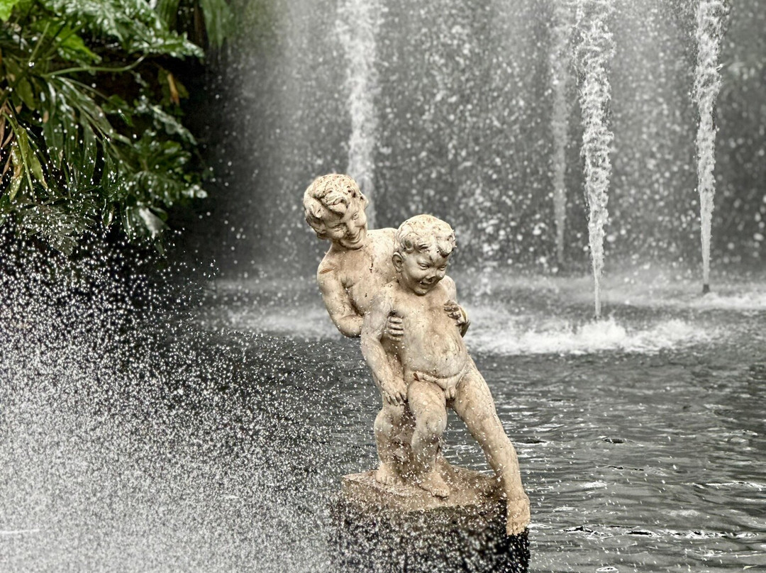 Jardim Municipal do Funchal-沙尔必去景点